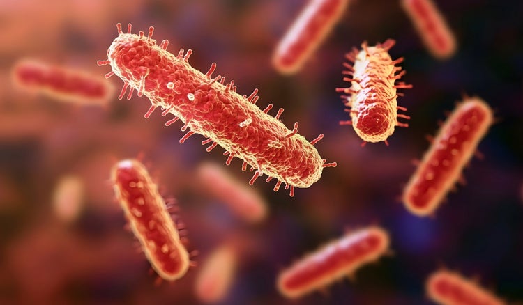 Signos y síntomas de resistencia antimicrobiana