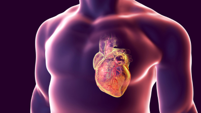 Enfermedades cardiovasculares